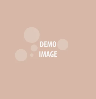 demo-image-1200x1200